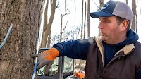 North Country producers take a break after syrup season’s early start