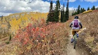 Forest Service changes to Rabbit Ears Pass mountain bike project have wildlife advocates hopping mad