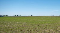 US soybean farmers, deserted by big buyer China, scramble for other importers