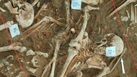 What killed Napoleon's army? Scientists find clues in DNA from fallen soldiers' teeth : Shots - Health News