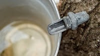Maple SOS: How to save our syrup