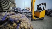 Russia faces record potato crisis amid food inflation surge