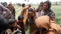 Global heating may be fuelling rise in deadly cancers among women
