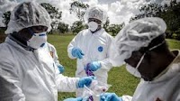 COP-MOP 11 – LEGN contributes to mainstreaming biosafety legislation | The Development Law Service