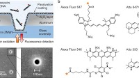 Surface passivation of zero-mode waveguide nanostructures: benchmarking protocols and fluorescent labels