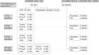 Ultra-purified alginate gel implantation decreases inflammatory cytokine levels, prevents intervertebral disc degeneration, and reduces acute pain after discectomy