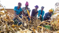IFAD enters the Australian Dollar market, issuing AUD 75 million sustainable bond to investor Meiji Yasuda Life