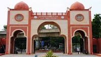 JMI Placement Report 2024–25: Highest Package Reaches INR 20 LPA; EIL, Ultratech Among Top Recruiter