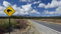 New Zealand to tax tourists to visit – but Australians will get in free