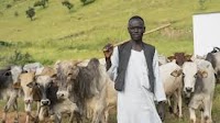 Switzerland and UNDP Sign CHF 3.5 Million Agreement to Boost Resilience of Vulnerable Communities in East Sudan