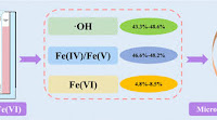 VUV Activated Fe(VI) by Promoting the Generation of Intermediate Valent Iron and Hydroxyl Radicals
