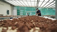 SSL Belacan: A Penang family business that spans three generations