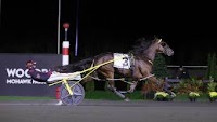 Loua Dipa scores in Breeders Crown 2-Year-Old Filly Pace Final