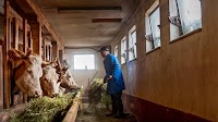 2020 Press Releases - Denmark gives DKK 8 million to help developing countries participate in farm trade - Press/864
