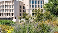 LSE announces Global School of Sustainability
