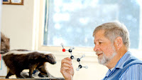 Student Question About Mushroom’s Maple Syrup Odor Takes 27 Years to Answer