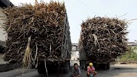 Thailand to suffer damage from China’s syrup import ban