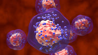 OptiTROP-Breast05: Sacituzumab Tirumotecan Shows 71% ORR in Advanced TNBC
