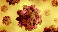 Study suggests hepatitis E may be a sexually transmitted infection