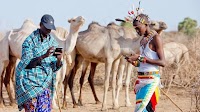 Big Data for Sustainable Development