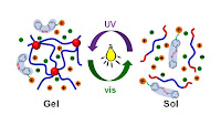 Photoreversible molecular switch changes the physical property of thermoresponsive polymer