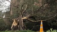 Lights, flights back on, ferries running, but storm clean-up far from finished