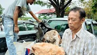Man discovers chunk of whale vomit; gets offered $4.2 million (AED 15.4+ million) for it