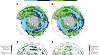 Phytoplankton blooms in the Southern Ocean have initiated later and terminated earlier over past 25 years