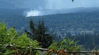 Mop-up underway of small wildfire along Cowichan River