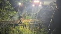 Harrowing rescue: Boy seriously injured after storm hits remote Algonquin Park camping site