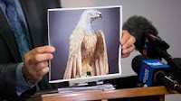 B.C. judge allows eagle sculpture insurance case despite 'inexcusable' delays