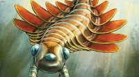 Paleontologists discover a 500-million-year-old, 3-eyed predator