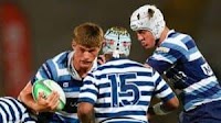 Schools rugby results: Big wins for Paarl Boys High, Affies and Noordheuwel