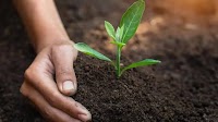 Nestlé unveils plans to support the transition to a regenerative food system