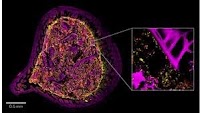 Kanvas Bio Publishes New Research on its Novel Spectral Imaging Platform, a Transformative Tool for Microbiome Drug Discovery and Development