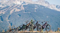 Pinkbike Poll: What Type of Mountain Bikes Should We Review at the Next Field Test?