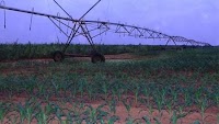 Giasop, nurturing Angola’s future
