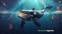 $COOK Boosts Up 113% And $MNT Up 50%, Fueled By Whale’s $98K Investment!