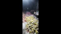 Sangli police raid MD manufacturing unit, arrest three