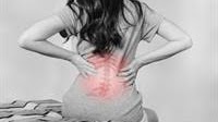 The role of estrogen in osteoarthritis and lower back pain