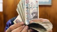 Egypt secures IMF deal after pound plunge, bumper rate hike