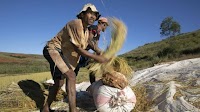 Goal 1: End poverty in all its forms everywhere