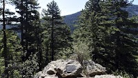 Safeguarding mountain vegetation: FAO receives 2021 GEO Sustainable Development Goals Award