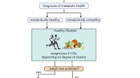 Metabolically healthy obesity: Fat distribution key to assessing the risk of cardiovascular disease