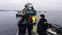 Mowi suffers salmon escape in Norway at the same time Chilean authorities finalize USD 7.5 million fine for 2018 incident