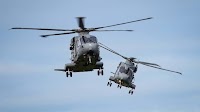 Royal Navy aviators ready for front-line commando operations after gruelling three-week test
