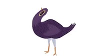 Trash Dove: Here’s Why The Internet Is Going Crazy Over This Purple Bird