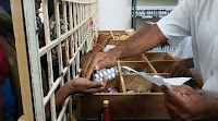 71 medicines, including PAN-D, multiple cough syrups, diabetic drugs fail quality tests