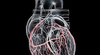 ACC recommends CCTA as first evaluation for CAD