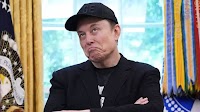 ‘We will lose Elon Musk, if…’: Tesla Board chairman sends SOS to shareholders